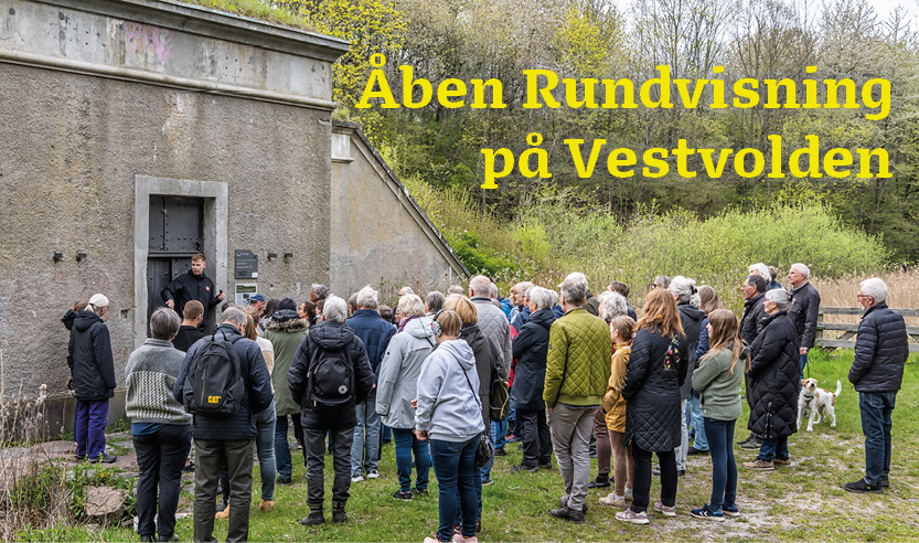 web åbenrundvisning